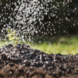 Comment optimiser la rétention d'eau dans le sol de mon potager ?