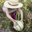 Quels légumes cultiver en région parisienne