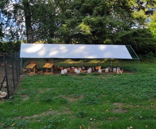 La Poule Guegonnaise