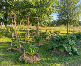 Château de la Borie