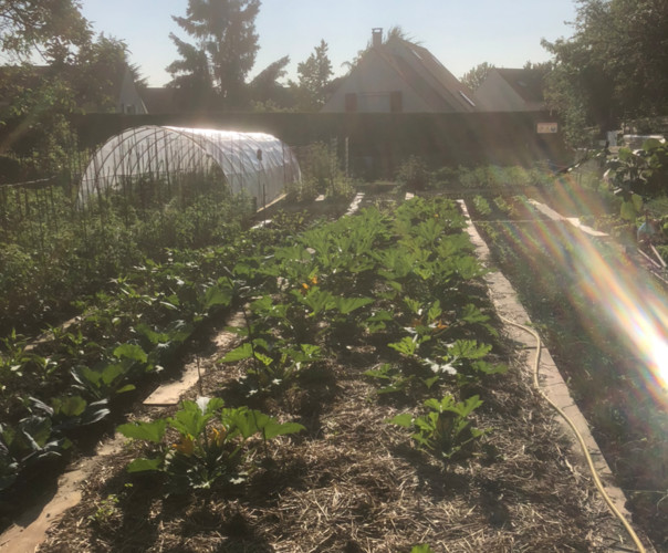 Potager des Allouettes de Montmorency