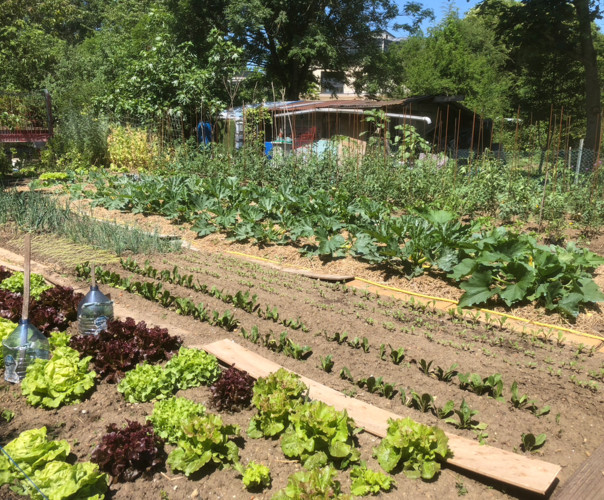 Potager des Allouettes de Montmorency