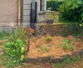 La vieille demeure de Suzan, mésanges et hérissons