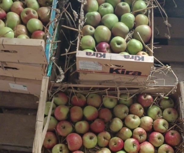 Le banquet de Créniel