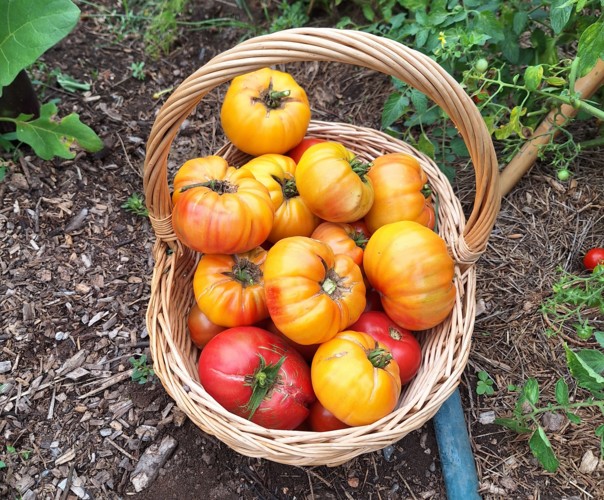 Le jardin des saveurs