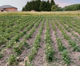 Ferme de la fontaine