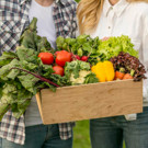 Panier DUO (légumes de saison / 2 pers)