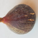Figues  Grosses figues bio de Bordeaux  